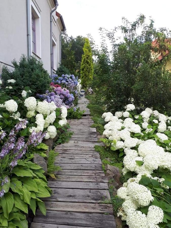 Hortensjowe Wzgorze Мисленице Екстериор снимка